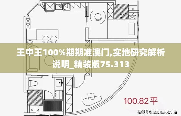 王中王100%期期准澳门,实地研究解析说明_精装版75.313