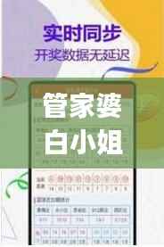 管家婆白小姐四肖四码,专业解析评估_Max78.172