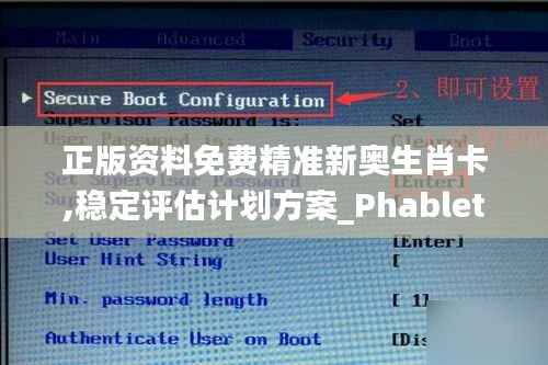 正版资料免费精准新奥生肖卡,稳定评估计划方案_Phablet175.872
