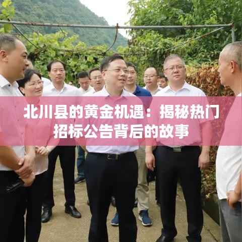 北川县的黄金机遇:揭秘热门招标公告背后的故事