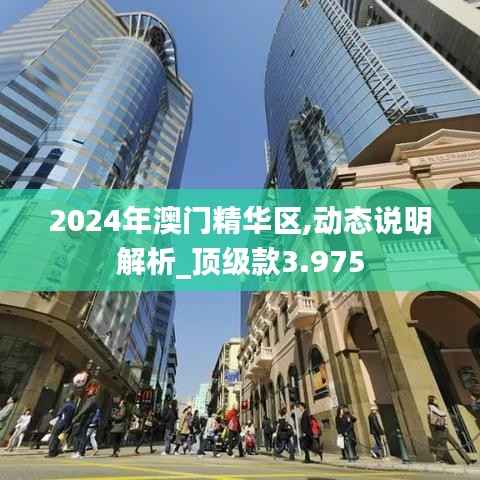 2024年澳门精华区,动态说明解析_顶级款3.975