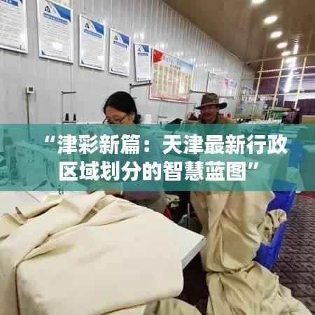 “津彩新篇：天津最新行政区域划分的智慧蓝图”
