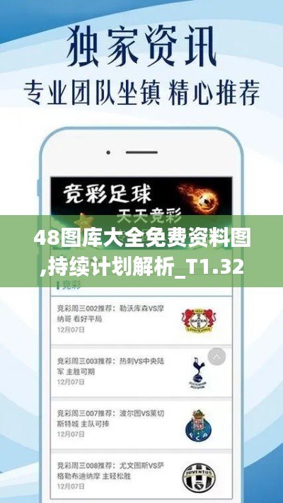 48图库大全免费资料图,持续计划解析_T1.329