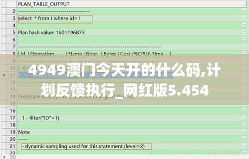 4949澳门今天开的什么码,计划反馈执行_网红版5.454