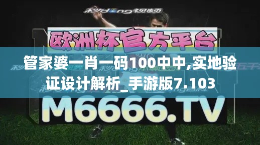 管家婆一肖一码100中中,实地验证设计解析_手游版7.103
