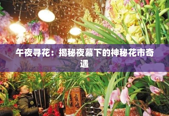 午夜寻花:揭秘夜幕下的神秘花市奇遇