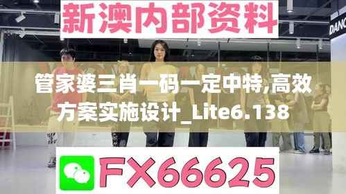 管家婆三肖一码一定中特,高效方案实施设计_Lite6.138