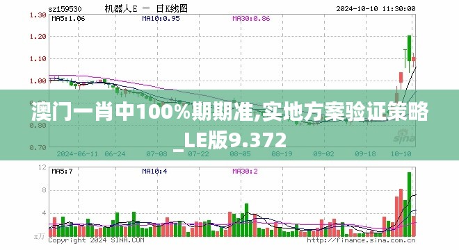 澳门一肖中100%期期准,实地方案验证策略_LE版9.372