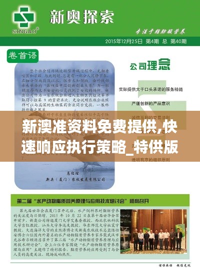 新澳准资料免费提供,快速响应执行策略_特供版5.682