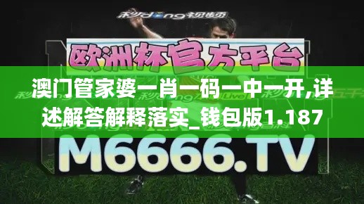 澳门管家婆一肖一码一中一开,详述解答解释落实_钱包版1.187