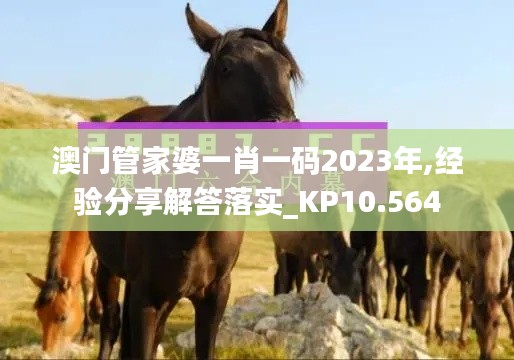 澳门管家婆一肖一码2023年,经验分享解答落实_KP10.564