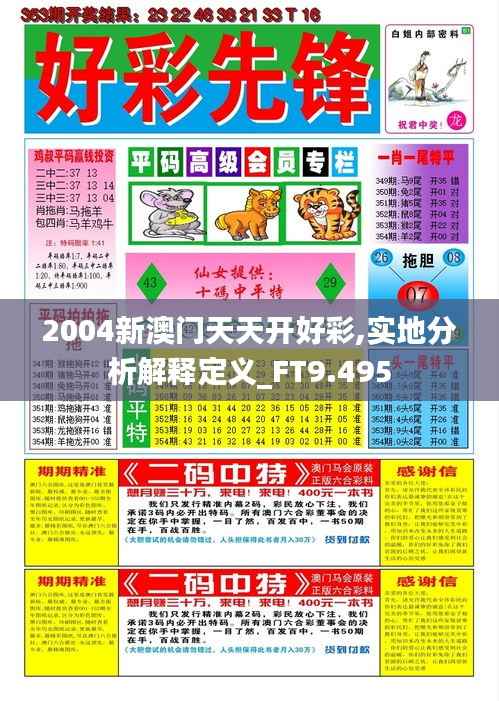 2004新澳门天天开好彩,实地分析解释定义_FT9.495