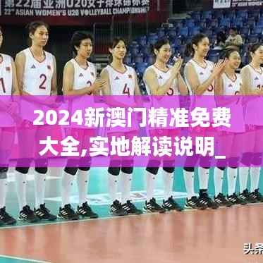 2024新澳门精准免费大全,实地解读说明_经典款5.515