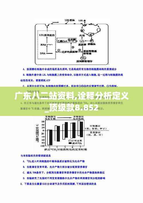 广东八二站资料,诠释分析定义_顶级款8.852