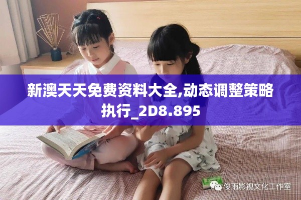 新澳天天免费资料大全,动态调整策略执行_2D8.895