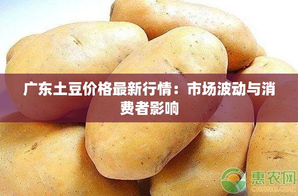 广东土豆价格最新行情：市场波动与消费者影响