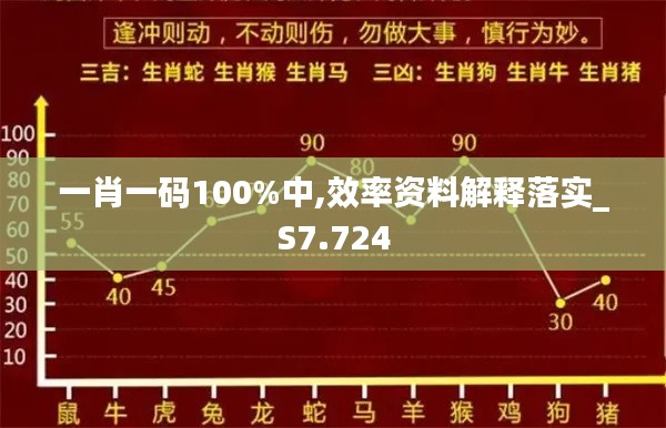 一肖一码100%中,效率资料解释落实_S7.724