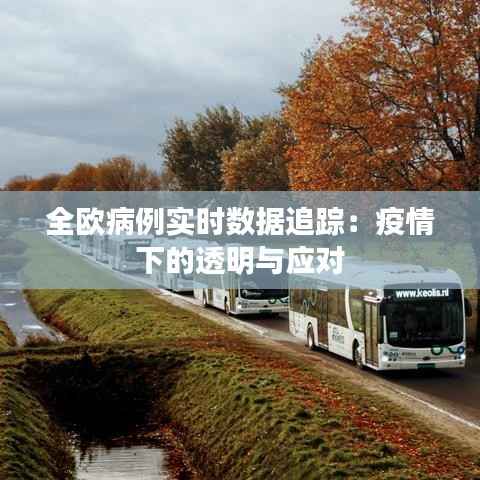 全欧病例实时数据追踪:疫情下的透明与应对