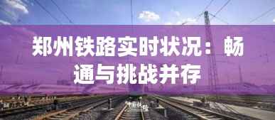 真独简贵 第4页