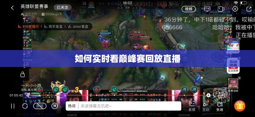 如何实时看巅峰赛回放直播