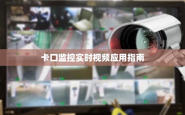 卡口监控实时视频应用指南