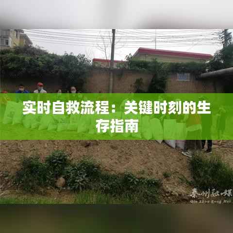 实时自救流程:关键时刻的生存指南