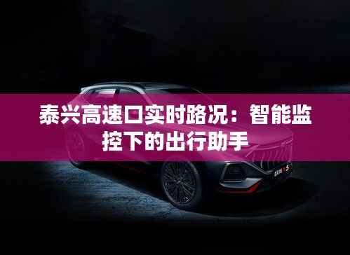 泰兴高速口实时路况:智能监控下的出行助手