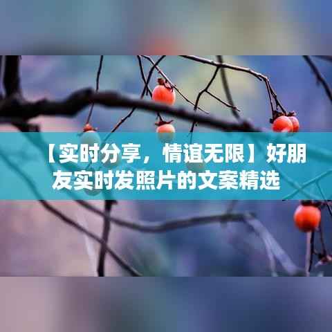 【实时分享,情谊无限】好朋友实时发照片的文案精选
