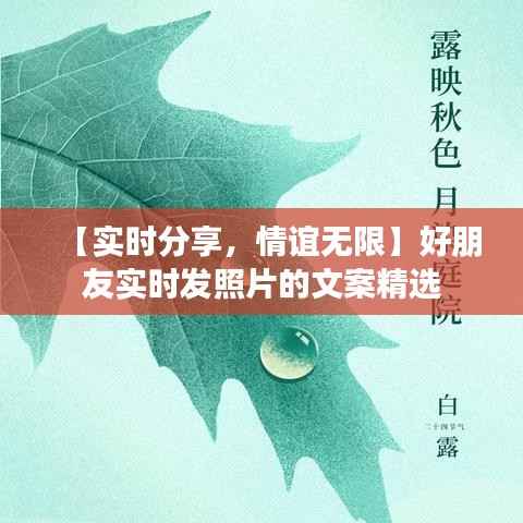 【实时分享,情谊无限】好朋友实时发照片的文案精选