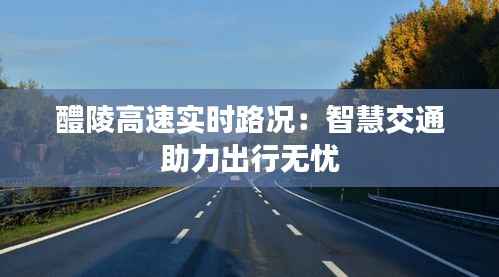 醴陵高速实时路况:智慧交通助力出行无忧