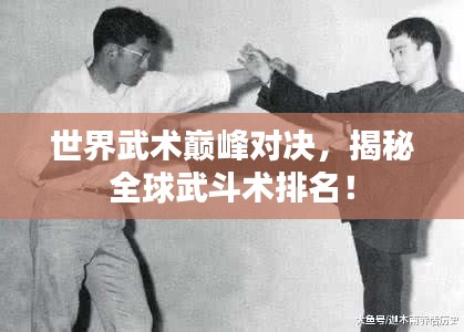 世界武术巅峰对决,揭秘全球武斗术排名!