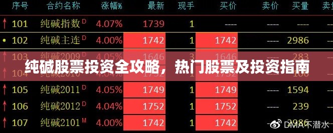 纯碱股票投资全攻略,热门股票及投资指南