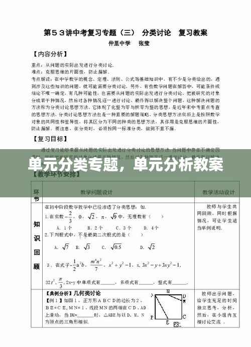 单元分类专题,单元分析教案