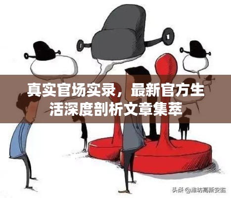 真实官场实录,最新官方生活深度剖析文章集萃
