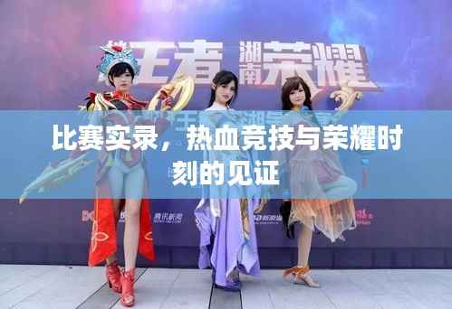 比赛实录,热血竞技与荣耀时刻的见证