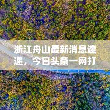 浙江舟山最新消息速递，今日头条一网打尽！
