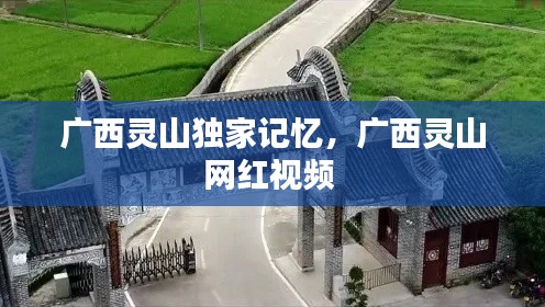 广西灵山独家记忆,广西灵山网红视频