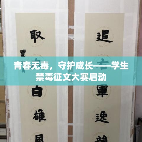 青春无毒,守护成长——学生禁毒征文大赛启动