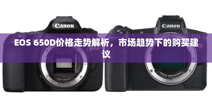 EOS 650D价格走势解析，市场趋势下的购买建议