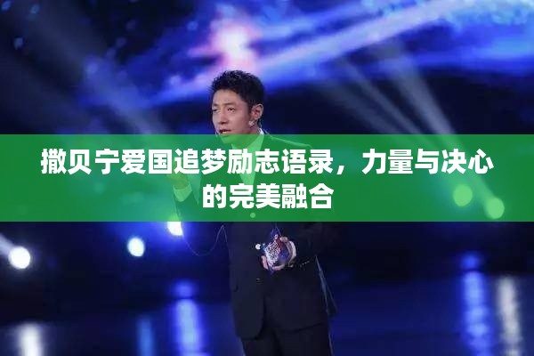 撒贝宁爱国追梦励志语录,力量与决心的完美融合