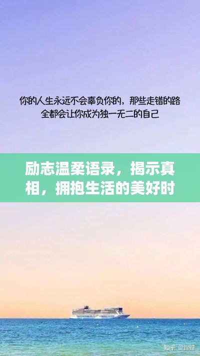 励志温柔语录,揭示真相,拥抱生活的美好时光