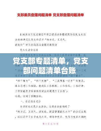 党支部专题清单，党支部问题清单台账 