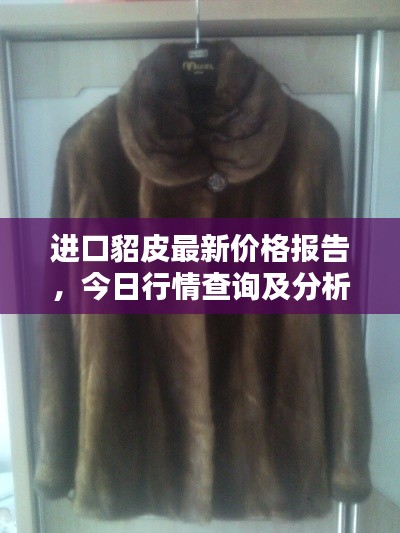 进口貂皮最新价格报告，今日行情查询及分析