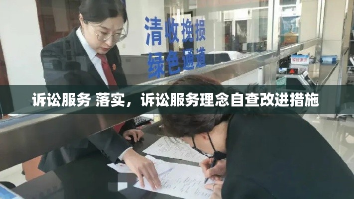 诉讼服务 落实,诉讼服务理念自查改进措施