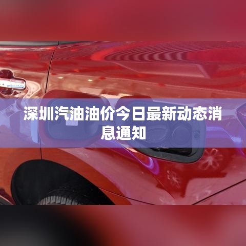 一本正经 第3页