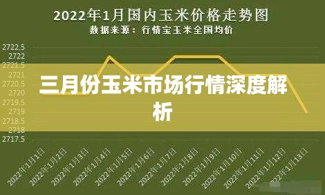 三月份玉米市场行情深度解析