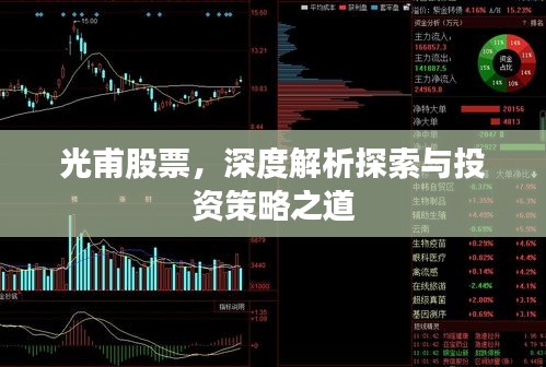 光甫股票,深度解析探索与投资策略之道