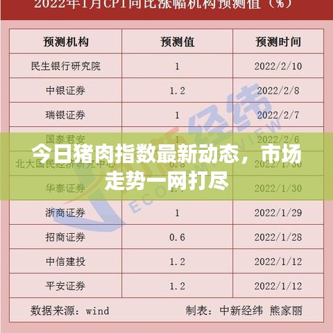 今日猪肉指数最新动态，市场走势一网打尽