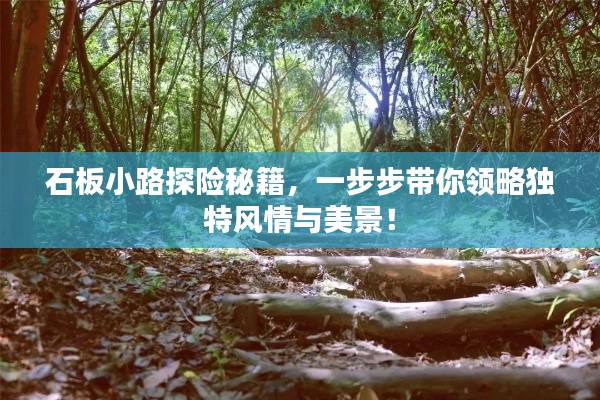石板小路探险秘籍,一步步带你领略独特风情与美景!