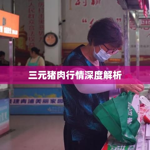 三元猪肉行情深度解析